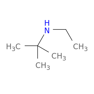 N-叔丁基乙胺