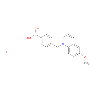 Quinolinium, 1-[(4-boronophenyl)methyl]-6-methoxy-, bromide