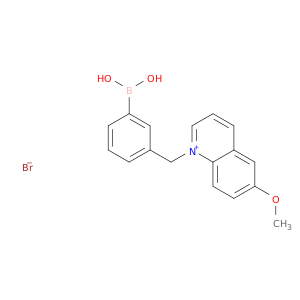 Quinolinium, 1-[(3-boronophenyl)methyl]-6-methoxy-, bromide