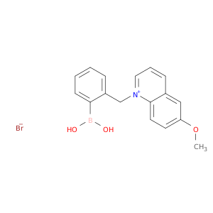 Quinolinium, 1-[(2-boronophenyl)methyl]-6-methoxy-, bromide