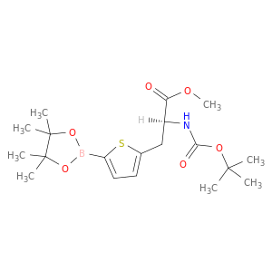 甲基(αs)-α-[[(1,1-二甲基氧基)羰基]氨基]-5-(4,4,5,5-四甲基-1,3,2-二氧化硼酚-2-基)-2-噻吩丙二醇酸酯
