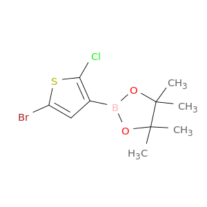 2-(5-BROMO-2-CHLOROTHIOPHEN-3-YL)-4,4,5,5-TETRAMETHYL-1,3,2-DIOXABOROLANE